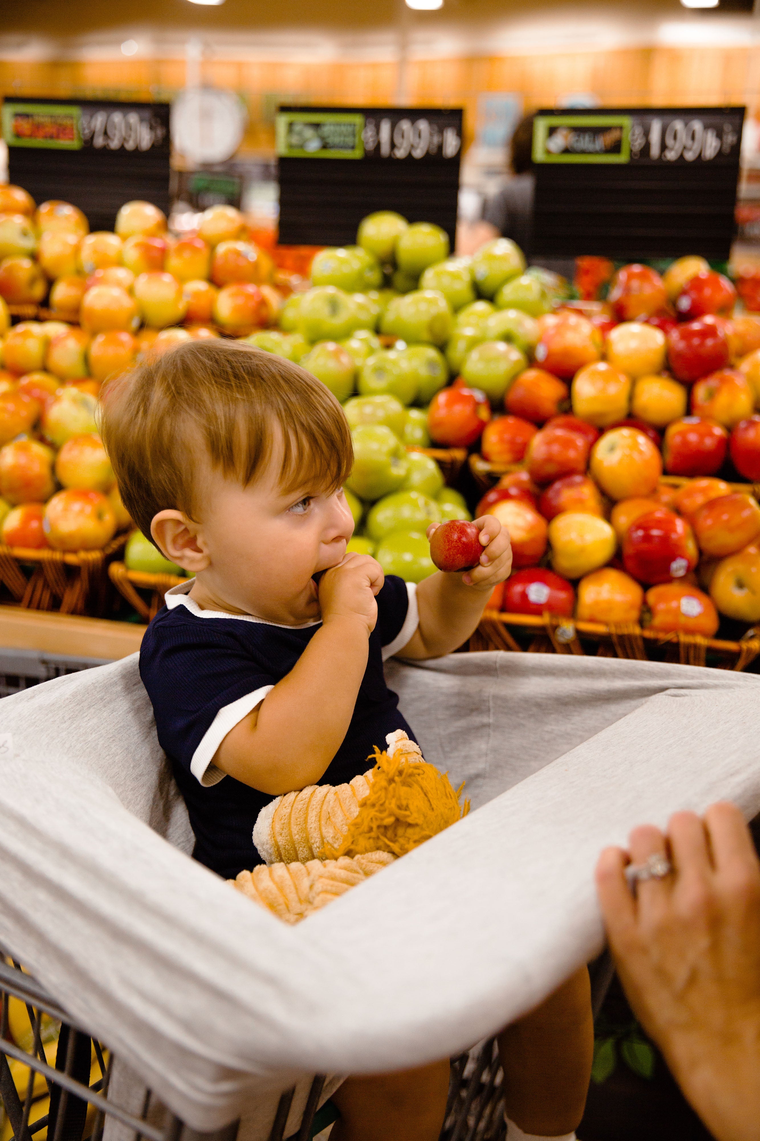 Snuggle Shield® LUXE Protection™ Bamboo Multi-Use Antimicrobial Air Filtering Infant Cover Grey